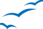 birds-blue-01